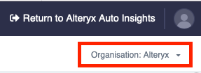 Organization name in Admin Portal UI