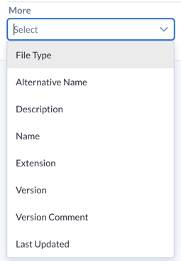 Screenshot showing the More drop-down menu for advanced filter options