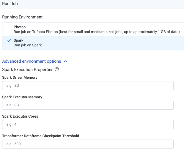 RunJobPage-AdvancedEnvironmentOptions-SparkExecutionProperties.png